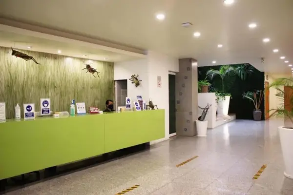 Aranzazu Eco 4