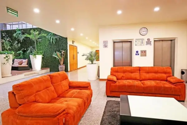 Aranzazu Eco 5
