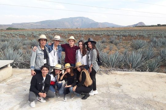 Tour image 3