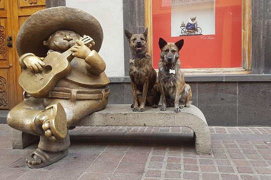 Tour image 4