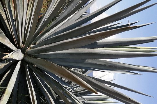 Tour image 5