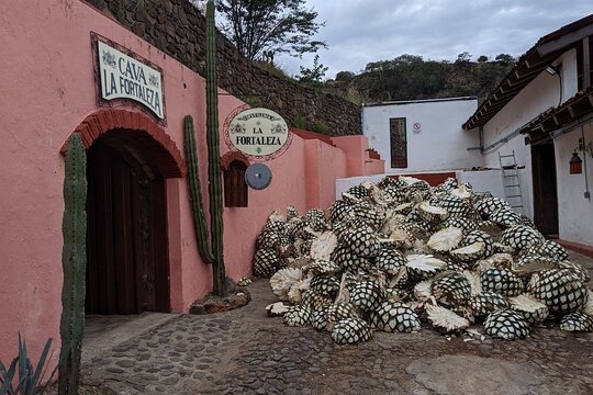Tour image 11
