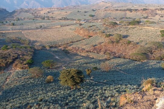 Tour image 6